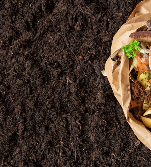 Bilde av en papirpose med matkompost som står på kompostjord