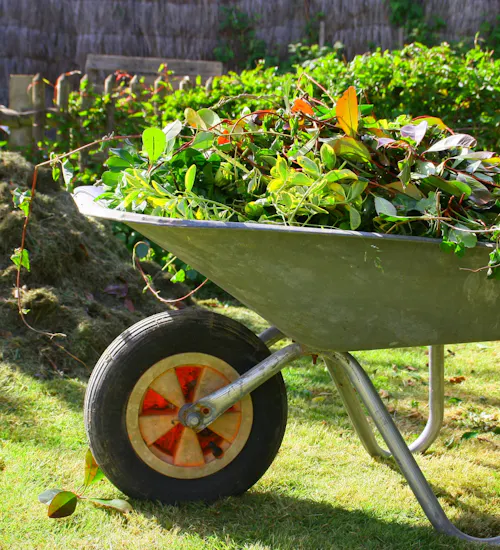 Trillebår med hageavfall på en grønn plen