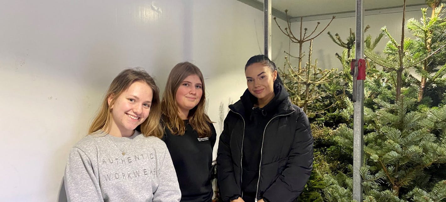 Tre elever ved Haugaland videregående er avbildet ved juletrærne de hjelper til med å samle inn